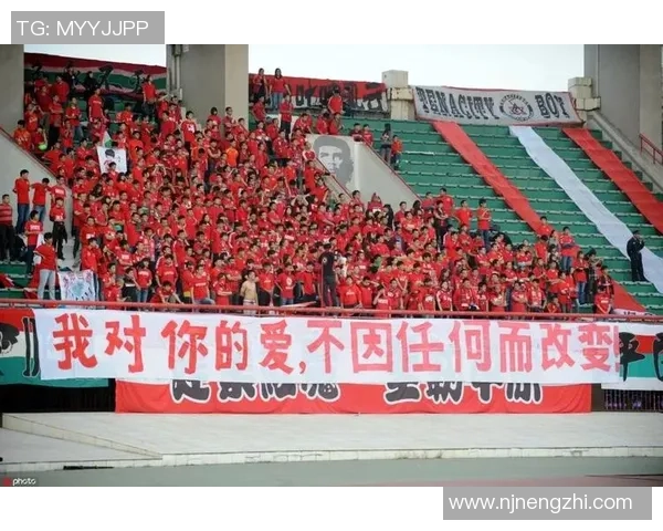 南京足球队团队协作引发热议球迷对战术配合与球员默契的看法分析